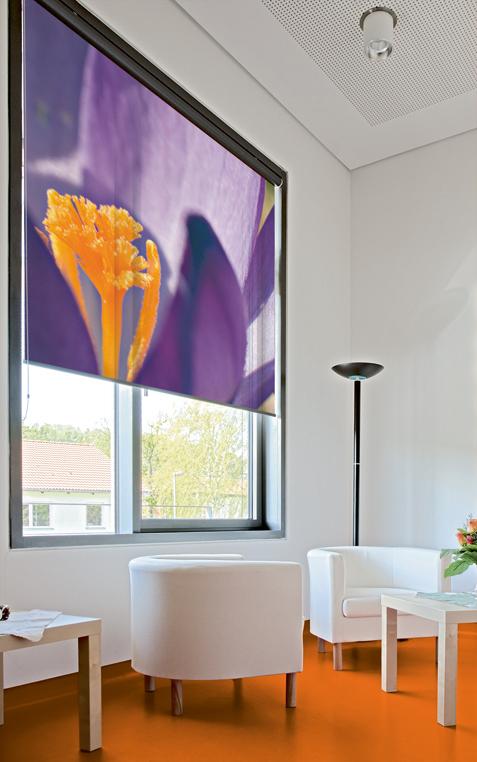 Foto Druck Motiv Blume Wand