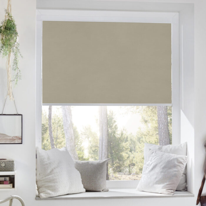 Seitenzugrollo, Kassettenrollo